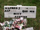 image of grave number 880710